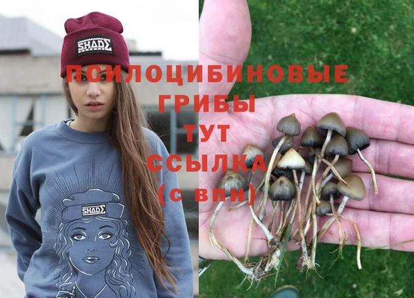 героин Алзамай
