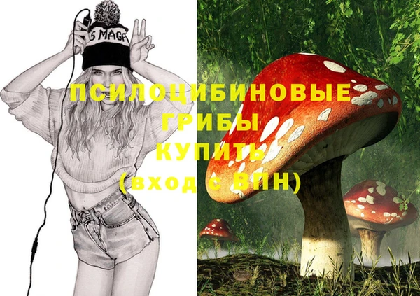наркотики Алексин