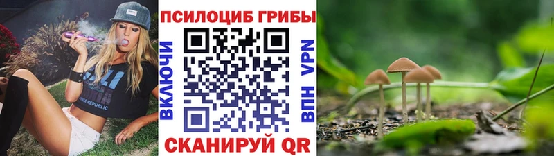 hydra ТОР  Шуя  Галлюциногенные грибы Psilocybine cubensis 